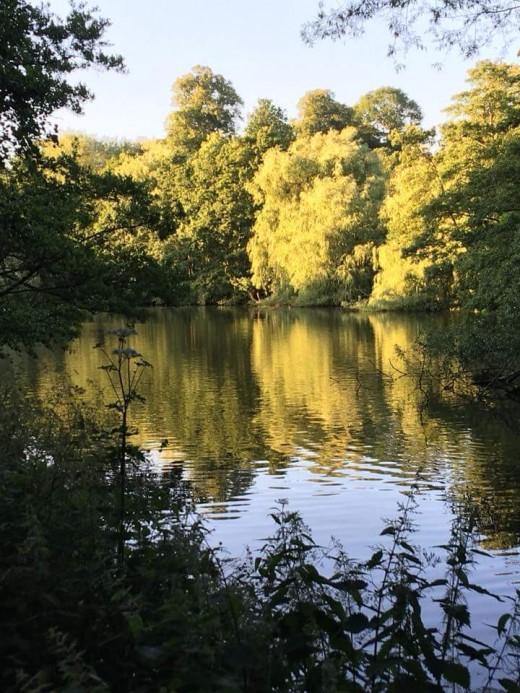 A photograph of Elmdon Park Lake.