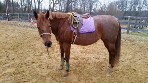 "M" is for Monday, it's also for Molly! This is her!