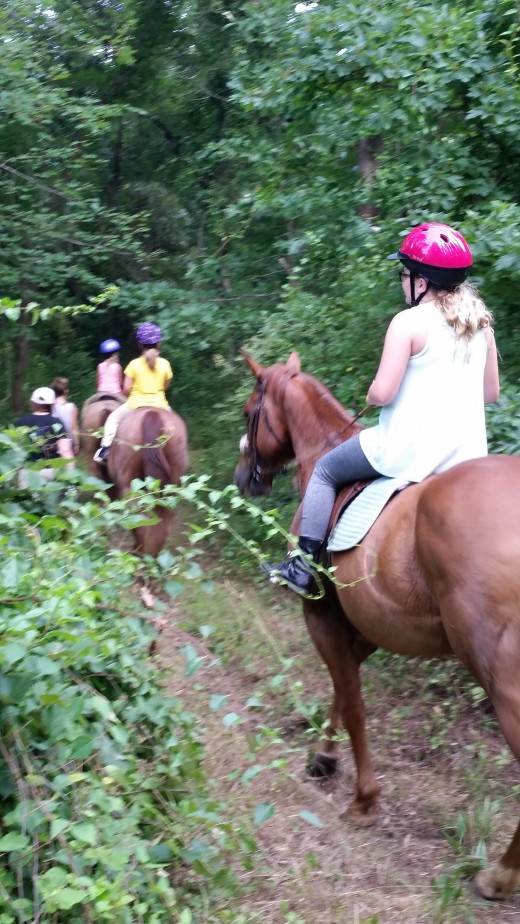 Molly is in the middle of the pack on this trail ride. Right where she likes to be, surrounded by her friends. She is a follower.