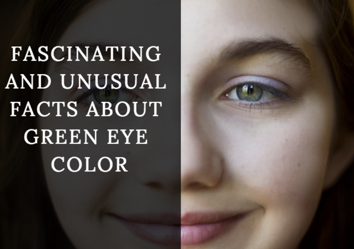 Fascinating And Unusual Facts About Green Eye Color Owlcation