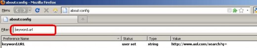 After typing "keyword.url" the above screen will be appeared.