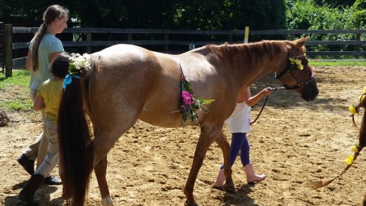 Another picture of the princess Lily undergoing summer camp torture!