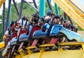 The Safety of Roller Coasters