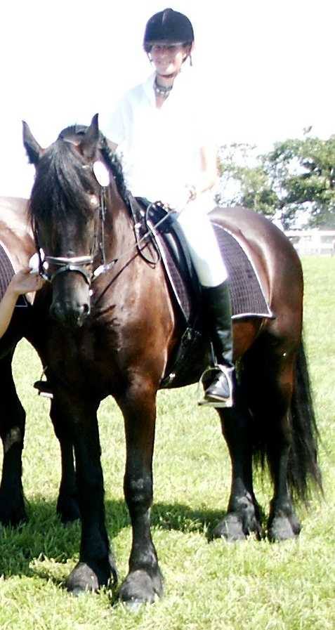 It requires feel and timing to get your horse to soften to the bit.
