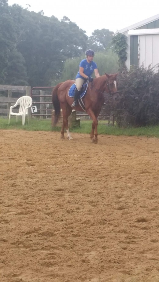 You can see the rider softening her hands as the horse softens to the bit, lowers his head and bends to the inside.