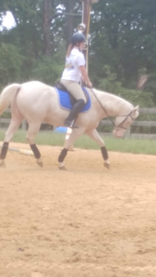 Feel and timing is what allows us to ride our horses in a collected frame without them leaning or pulling on us.