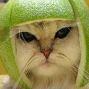 IknewThat profile image