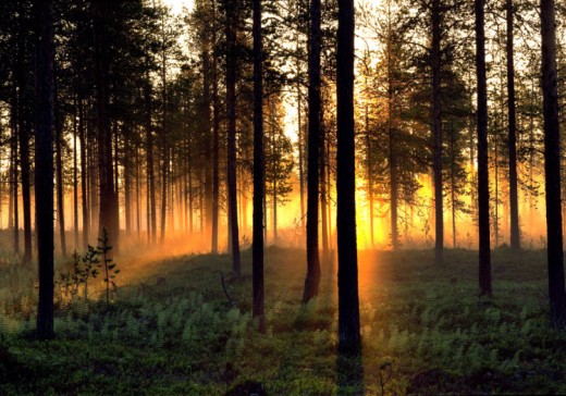 midnight sun, sweden