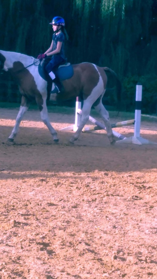 Poor chaps has his head cut off, looks as if our rider's heel has come up, and leg slid back a bit. She lost her millions shortly after this picture was taken! P.S- her left foot at least, is too far through the stirrup as well.