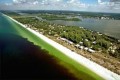 Florida's Red Tide Disaster is on Both Coasts
