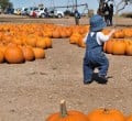 Halloween Crafts with Kids