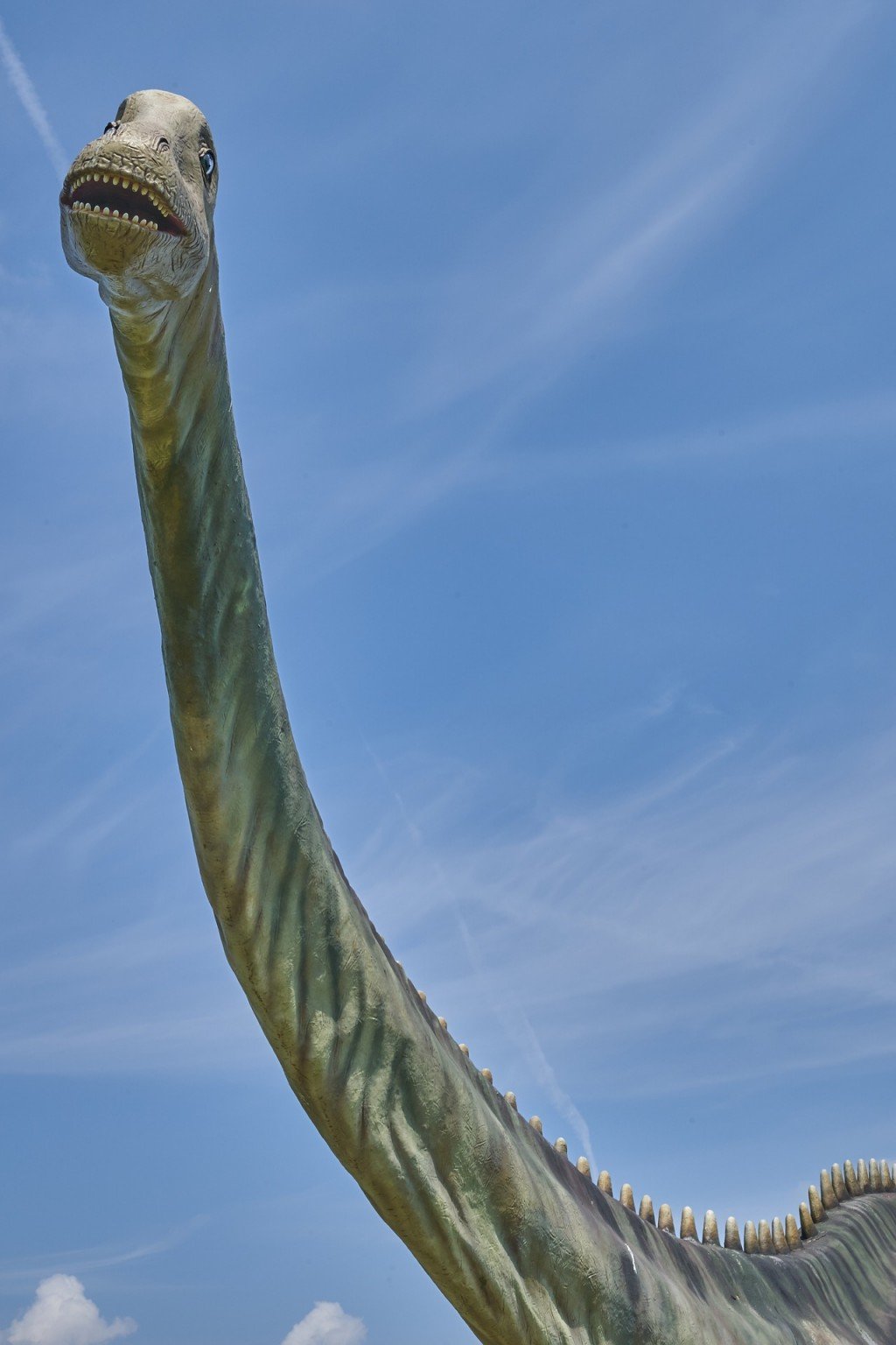 brachiosaurus long neck dinosaur