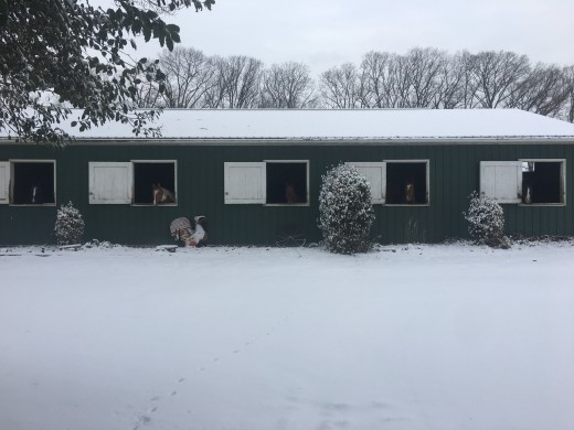 On the farm we are hoping for a mild winter!