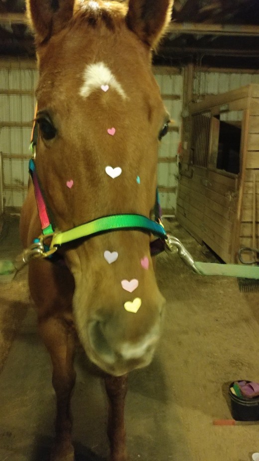 Valentine's Day fun at a February 14 unmounted lesson.