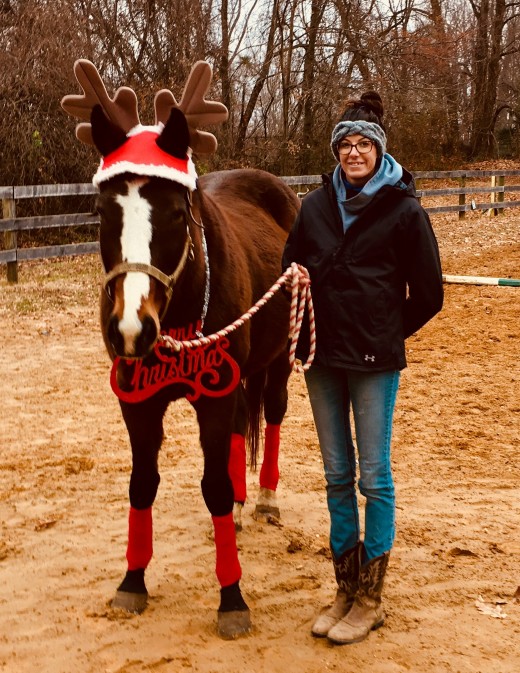 It really is fun to embarrass your horse in Christmas Decorations, this is my Finnigan, he didn't seem as ashamed as Kemerton did.