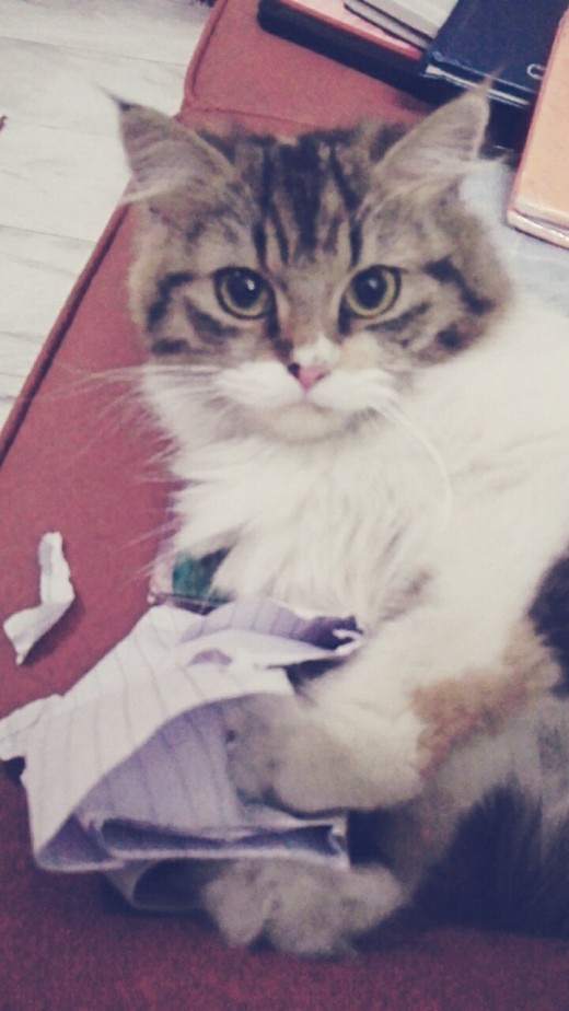 Play With Me!