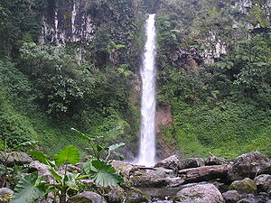 A waterfall in Bukidnon (http://en.wikipedia.org/wiki/Bukidnon)