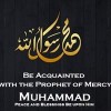 TheMindandbeauty profile image