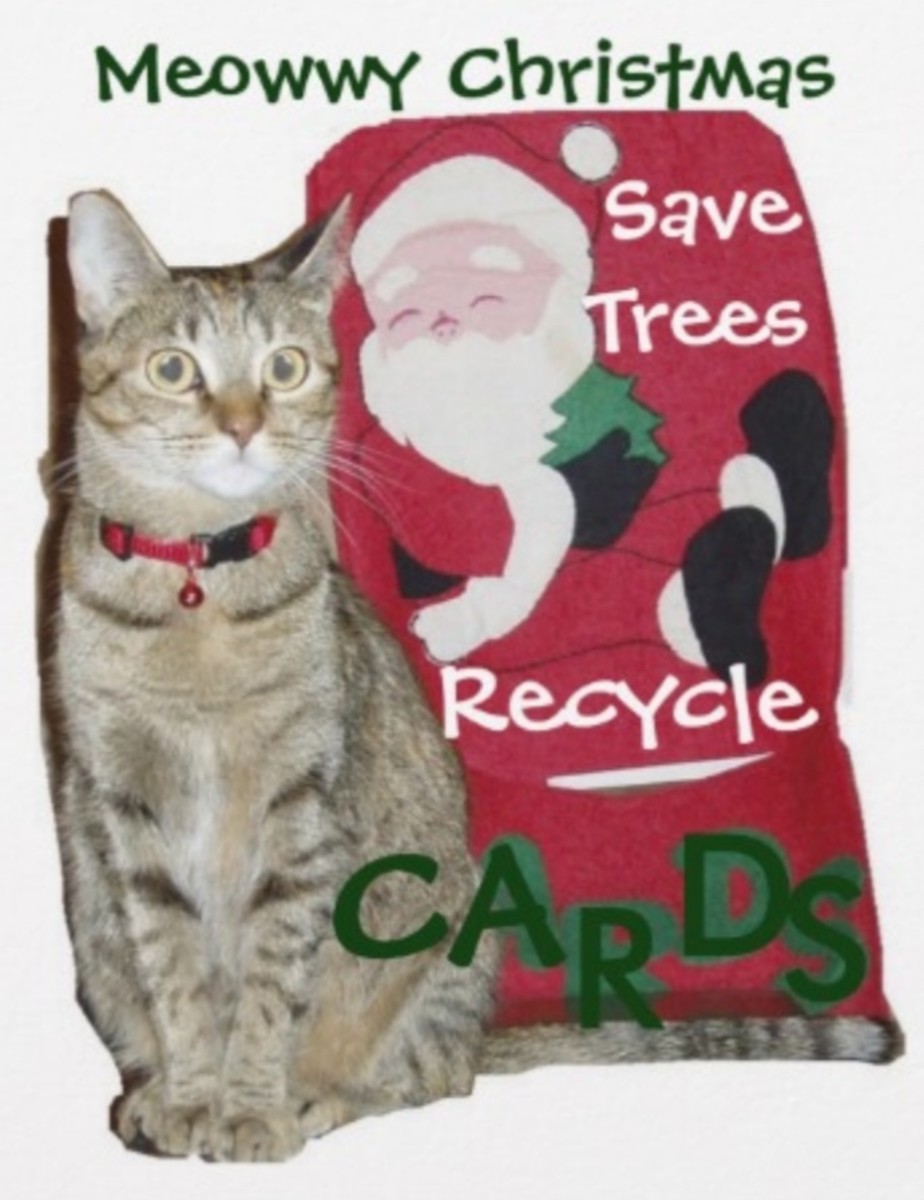 Christmas Cards for Cat Lovers
