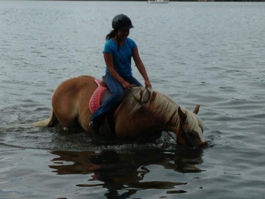 Dunkin, oh little Dunkin....he was my personal encyclopedia of horse lessons and life lessons. He fits into many of the categories mentioned in this article.