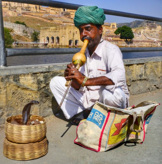 The Art of Snake Charming & How Performers Charm Snakes