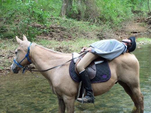 Horses appreciate their bit less bridles, as well as time outside the lesson program, as seen here. My old man Cory and I on a trail ride many moons ago. Best horse ever, may he rest in peace.