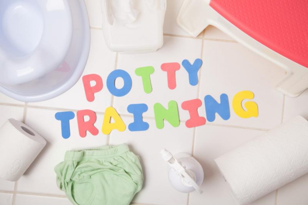 Basics of Potty Training HubPages