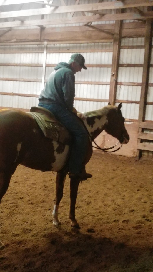 This horse met my all of my clients non-negotiable's , she wished she was a few inches taller, but for the quality of the horse and level of it's training she let a few inches slide.