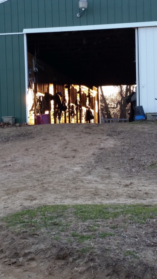 Find out if the barn you are looking at is a quiet adult barn or a kid barn...figure out whether you want to have quiet time at the barn or friends to hang out with.Knowing these things ahead of time will help you to find the right place!