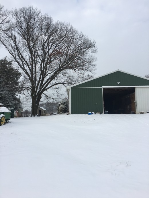 Maybe you want your horse to stay at a barn with a center aisle so on snow days like these you have a warm, dry place to visit your horse!