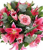 HubPages profile picture for @flowers