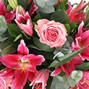 flowers profile image
