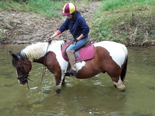 Buddy, who is now fully retired due to feet issues, used to enjoy a trail ride from time to time. He seemed to like the attention and change of scenery. He was an event horse for many years, so to go to that to doing nothing is a shock i'm sure