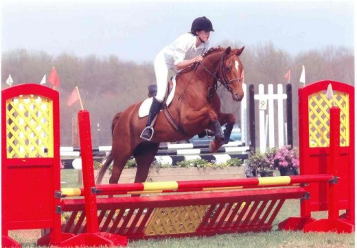 Show jumping phase at one of our early events. 