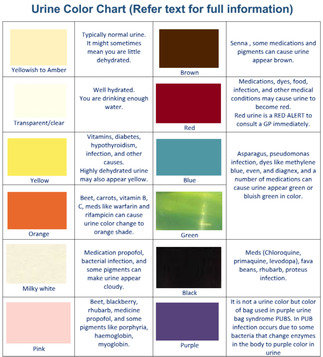 Urinalysis Chart Colors