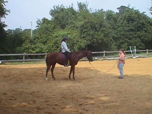 If you are an assertive leader and can control your horse on the lunge line that can be a good option. If you aren't able to do so, you might make things worse.
