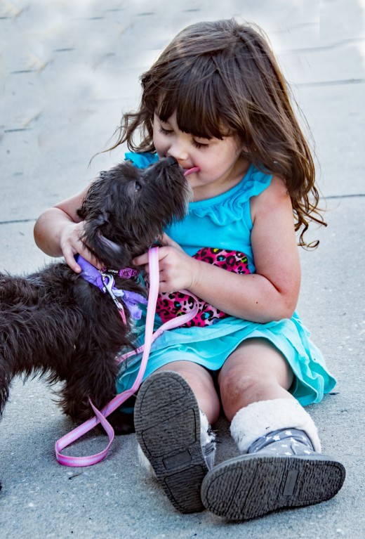 Girl with Mutt Puppy