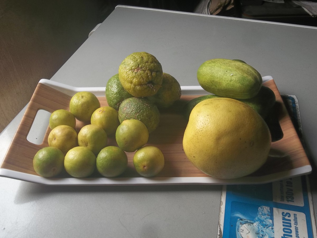 Alkaline fruits: lime, lemon, cucumber, and grapefruit.