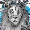 muneebshafqat profile image