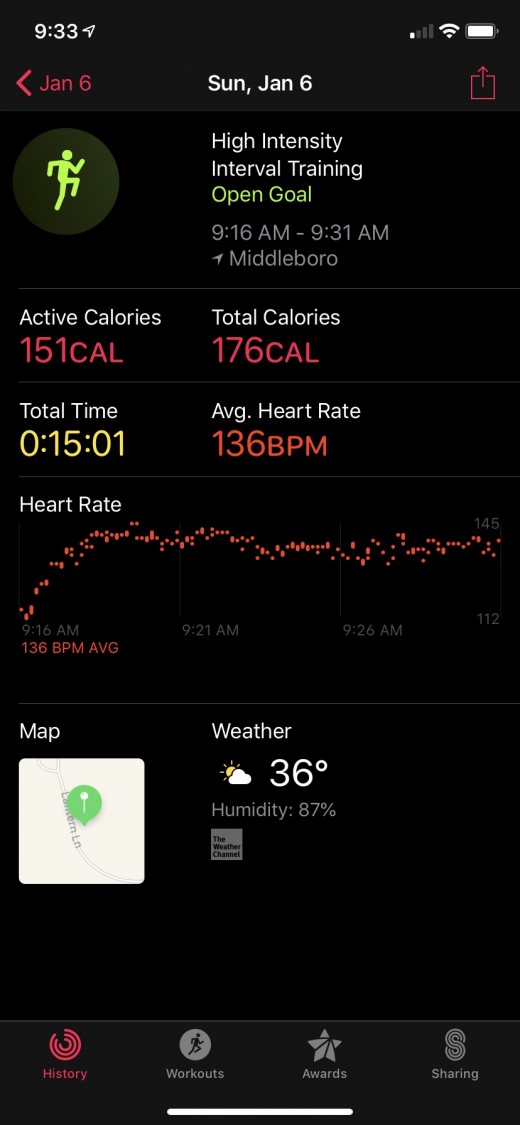 A fifteen minute circuit recorded on Apple Watch. This is the detail from the Activity App on my phone.