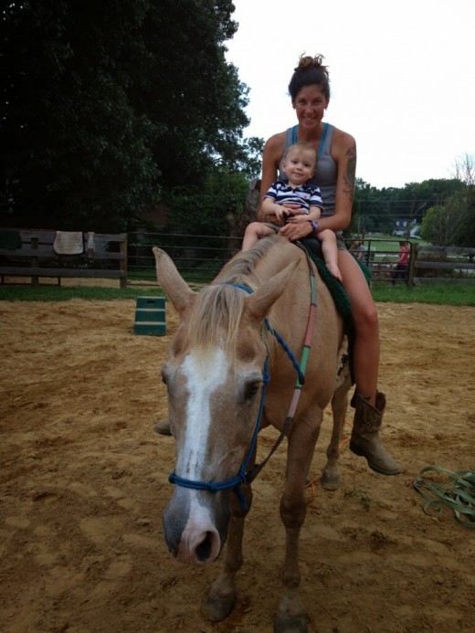 Family horse Cory
