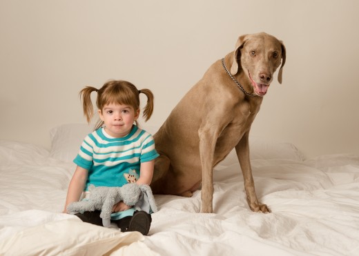 Our daughter with the family dog in 2013