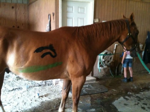 Marley being painted at summer camp