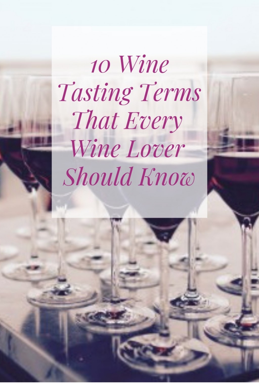 10 Wine Tasting Terms for Beginners and How to Taste Wine Like a