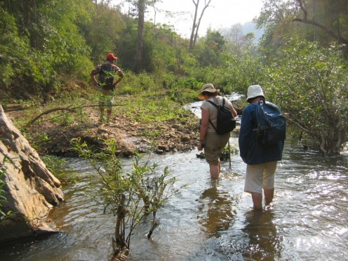 Another river to cross!  we crossed it about 20 times one day!