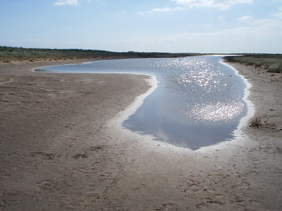 A photograph of one of the many small pools that dot the reserve.