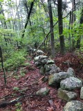 Best Hiking Trails in Greater Boston