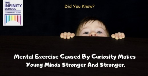 The Infinity School- When children are curious, they find lots of interesting things to do!