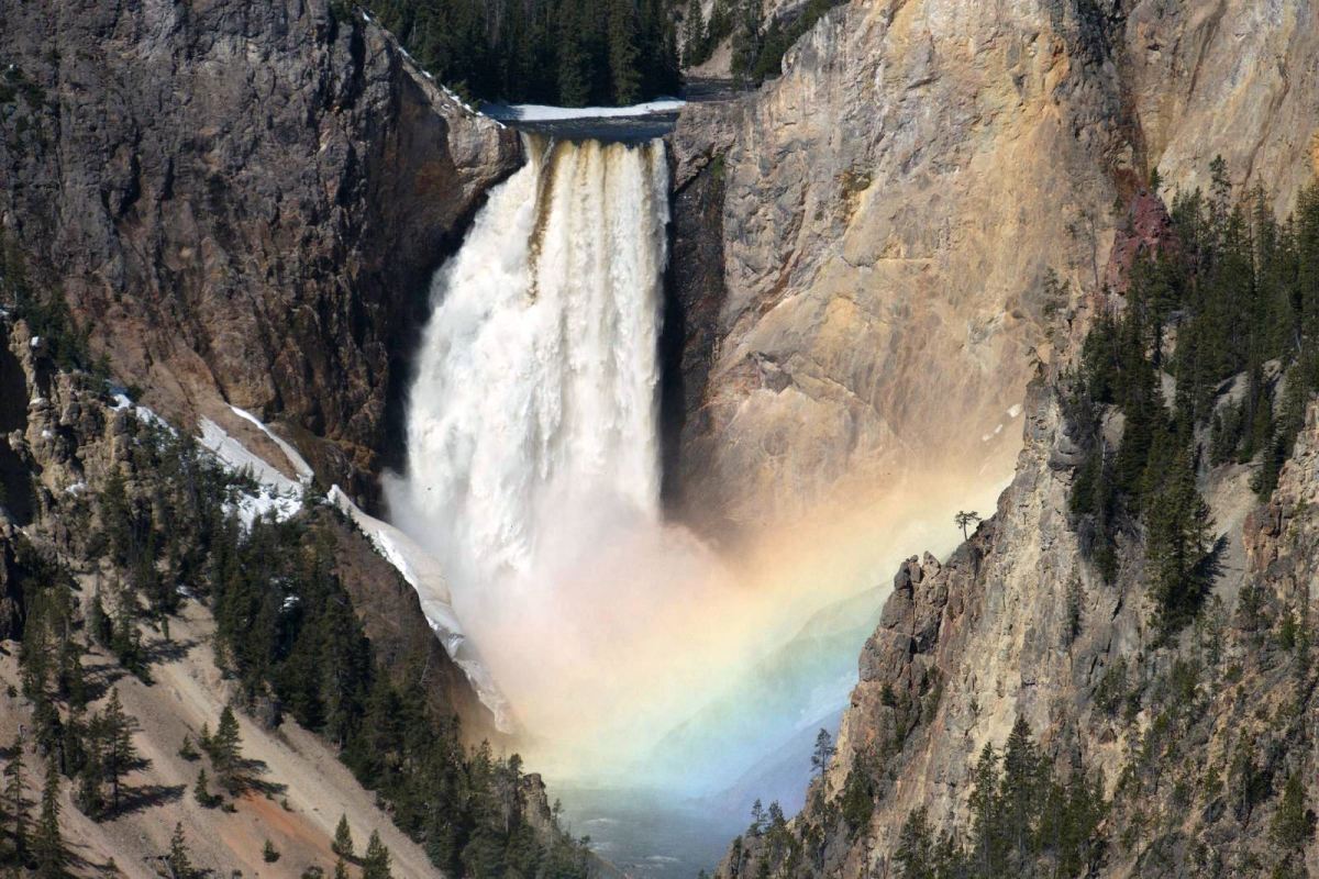 Lower Yellowstone Falls in Yellowstone National Park