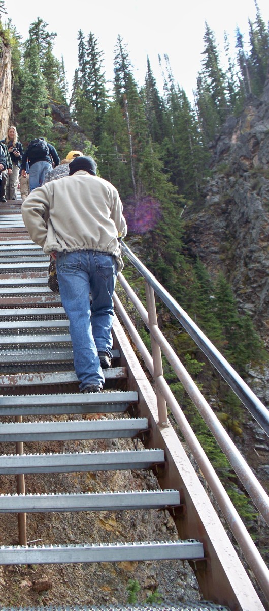 Some of the 328 stairs on Uncle Tom's Trail @ Yellowstone National Park
